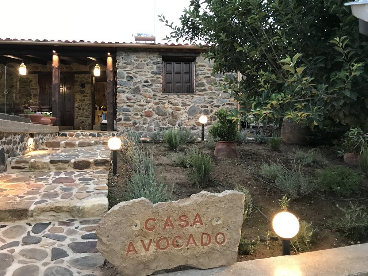 Villa Casa Avocado Tavronitis Buitenkant foto