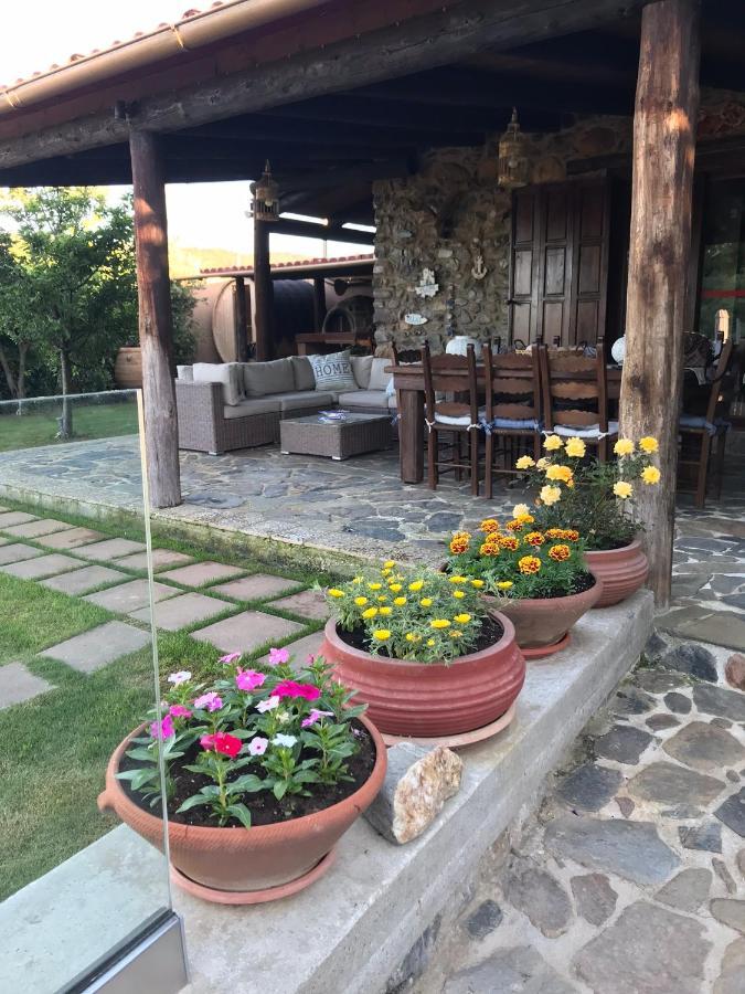 Villa Casa Avocado Tavronitis Buitenkant foto